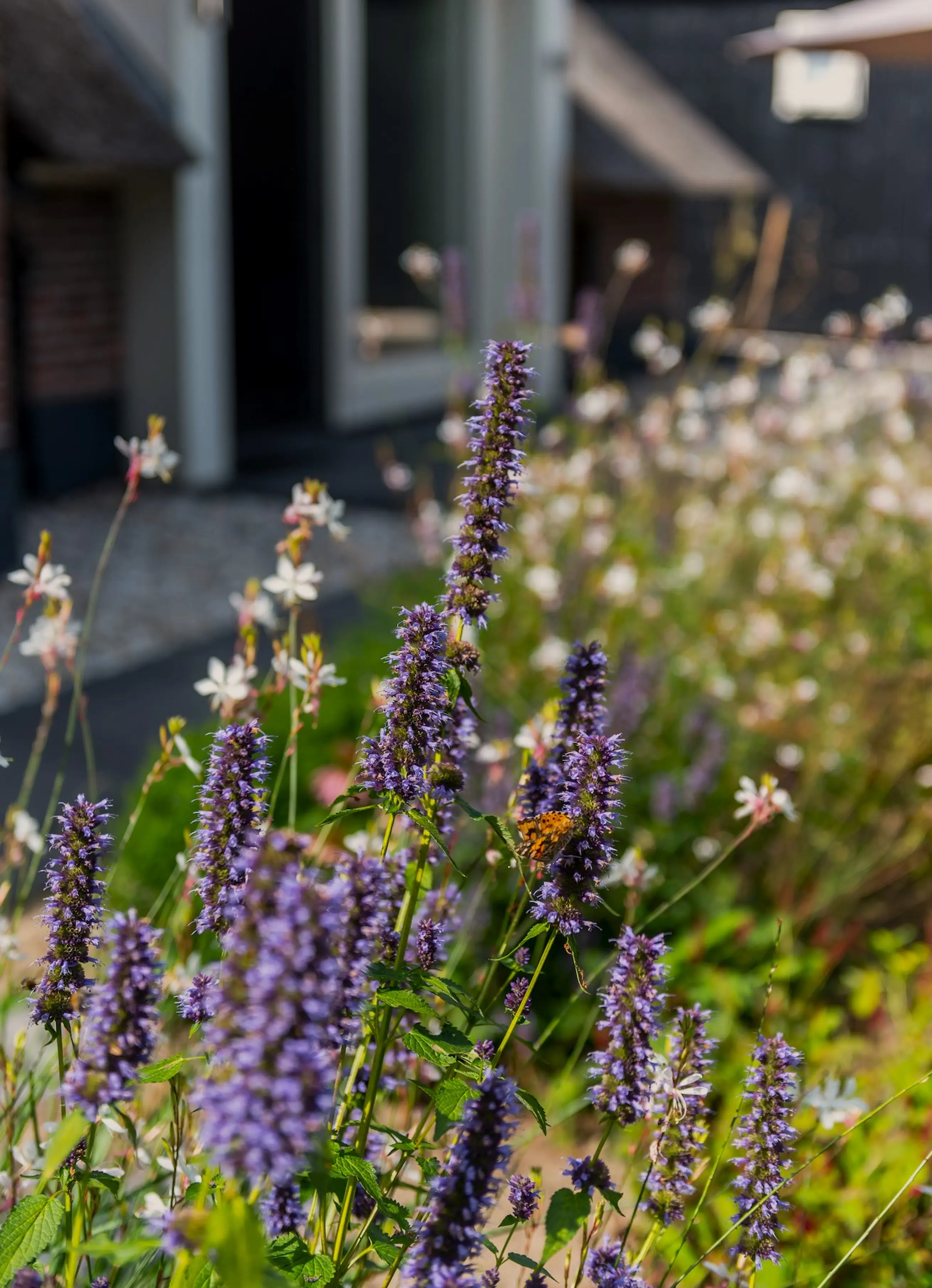 Onderhoudsarme Boerderijtuin Voorbeeld