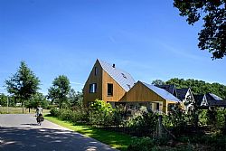 Bloeiende struiken voor de natuurlijke tuin