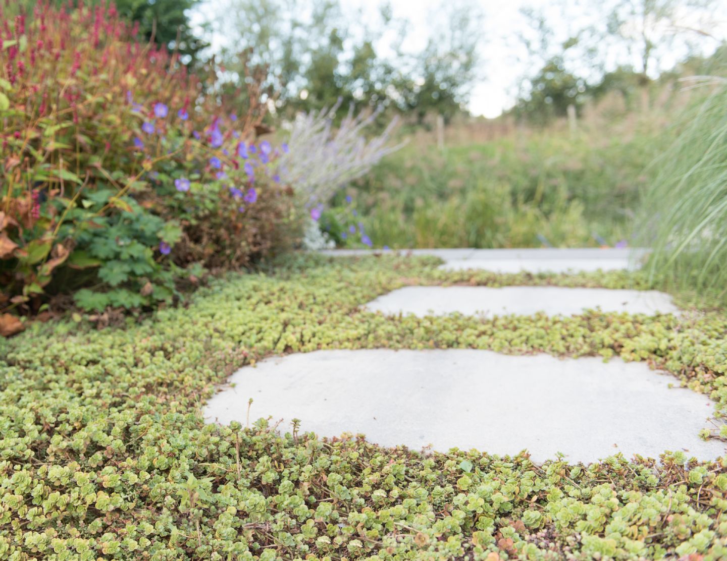 Werkwijze van Tuinontwerp tot Tuinaanleg